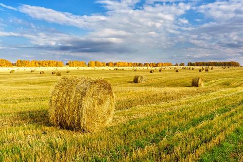 我國(guó)肥料分類(lèi)及執(zhí)行標(biāo)準(zhǔn)大全